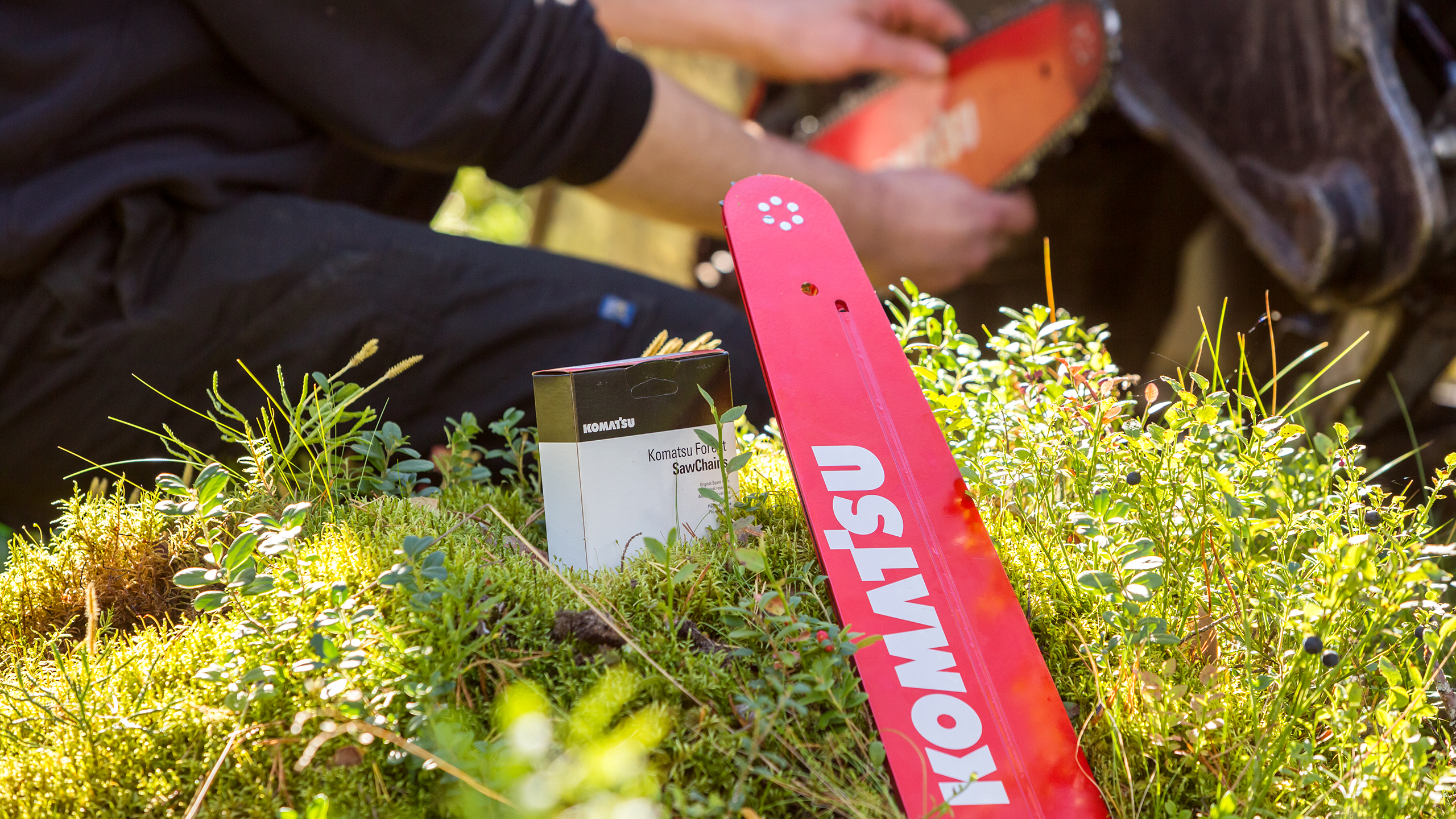 Swords and chains service in forest