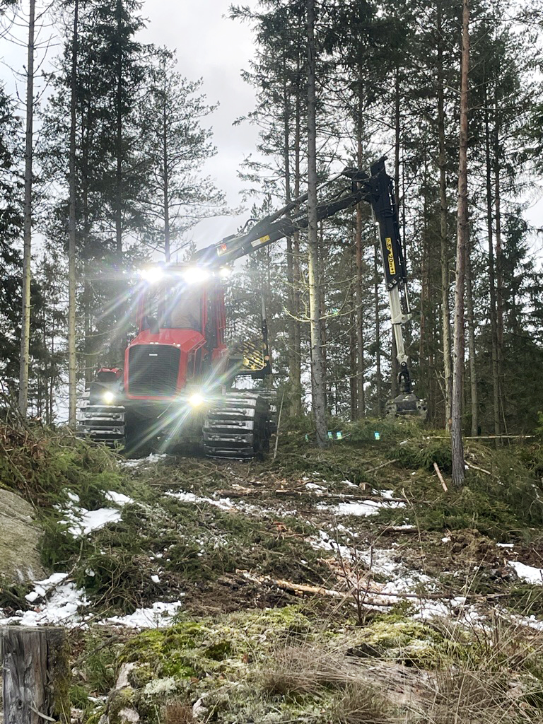 A komatsu harvester operating in the forest